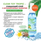 Очищающий спрей для игрушек CLEAR TOY Tropic - 100 мл. - Биоритм - купить с доставкой в Северске