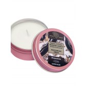 Массажная свеча  Искушение - БиоМед - купить с доставкой в Северске