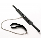 Черный ошейник с шипами и поводком - Crazy Handmade - купить с доставкой в Северске