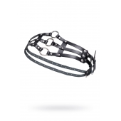 Черный кожаный пояс с кольцами - Pecado - купить с доставкой в Северске