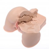 Мастурбатор-полуторс Naked Factory Kate - Naked Factory - в Северске купить с доставкой