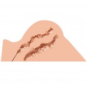 Мастурбатор-полуторс Naked Factory Hannah - Naked Factory - в Северске купить с доставкой