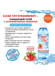 Очищающий спрей для игрушек CLEAR TOY Strawberry - 100 мл. - Биоритм - купить с доставкой в Северске
