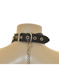 Ошейник  Веселый Роджер - Sitabella - купить с доставкой в Северске