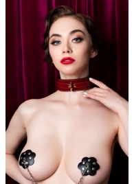 Красный ошейник из лакированного материала - ToyFa - купить с доставкой в Северске