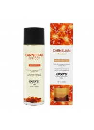Органическое массажное масло CARNELIAN APRICOT - 100 мл. - Exsens - купить с доставкой в Северске