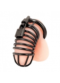 Черная металлическая клетка с замком Deluxe Chastity Cage - BlueLine - купить с доставкой в Северске