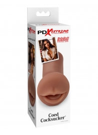 Мастурбатор-ротик Coed Cocksucker - Pipedream - в Северске купить с доставкой