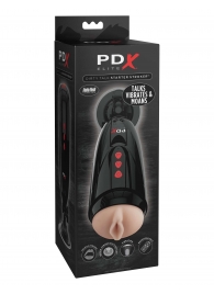 Мастурбатор-вагина с вибрацией Dirty Talk Starter Stroker - Pipedream - в Северске купить с доставкой