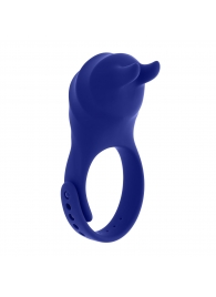 Синее эрекционное виброкольцо с клиторальной подушечкой и пультом ДУ Adjustable Fun Ring - Zero Tolerance - в Северске купить с доставкой