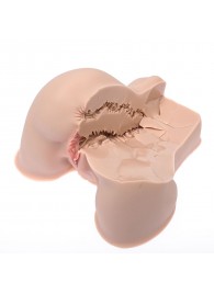 Мастурбатор-полуторс Naked Factory Kate - Naked Factory - в Северске купить с доставкой