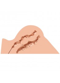 Мастурбатор-полуторс Naked Factory Hannah - Naked Factory - в Северске купить с доставкой