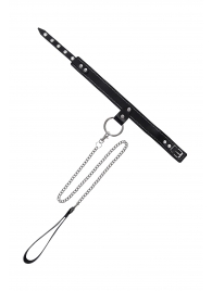 Черный узкий однослойный ошейник с серебристым поводком-цепочкой - Pecado - купить с доставкой в Северске