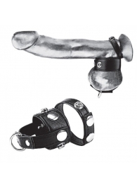 Утяжка для мошонки и пениса Cock Ring With 1  Ball Stretcher And Optional Weight Ring - BlueLine - купить с доставкой в Северске