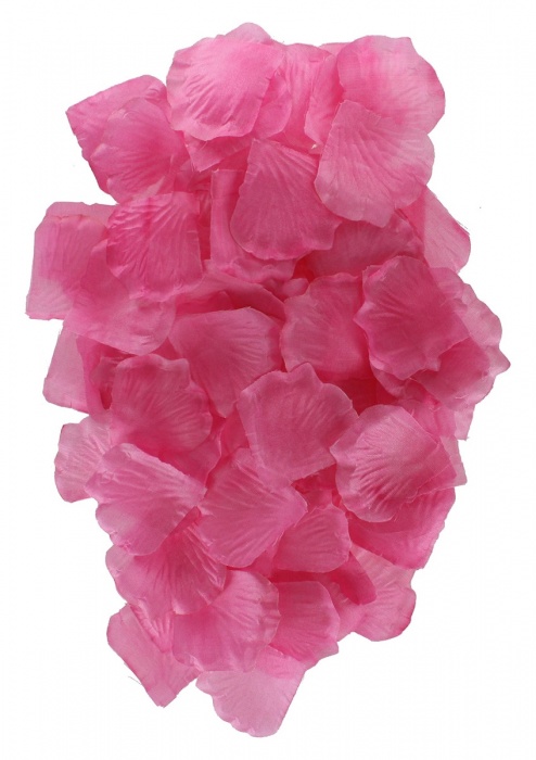 Эротический набор FANTASTIC PURPLE SEX TOY KIT - Toy Joy - купить с доставкой в Северске