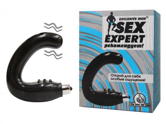 Чёрный массажёр простаты серии Sex Expert - Sex Expert - в Северске купить с доставкой