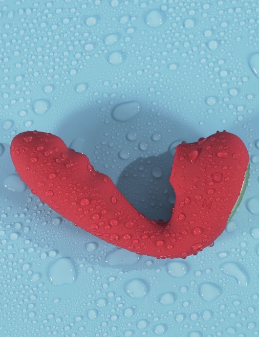 Красный вибратор с вакуумной стимуляцией и нагревом Tara - BeYourLover