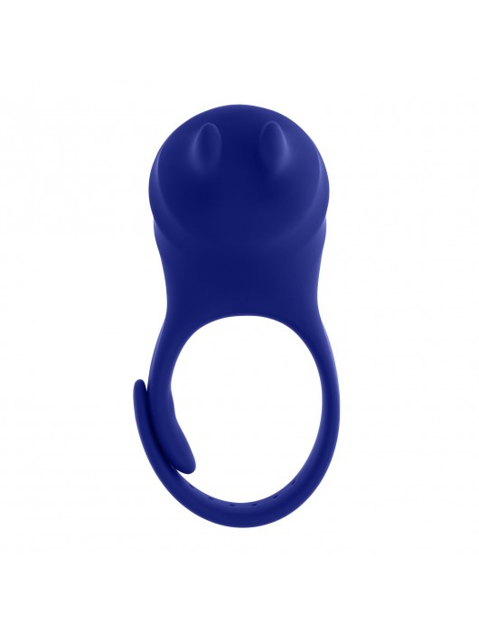 Синее эрекционное виброкольцо с клиторальной подушечкой и пультом ДУ Adjustable Fun Ring - Zero Tolerance - в Северске купить с доставкой