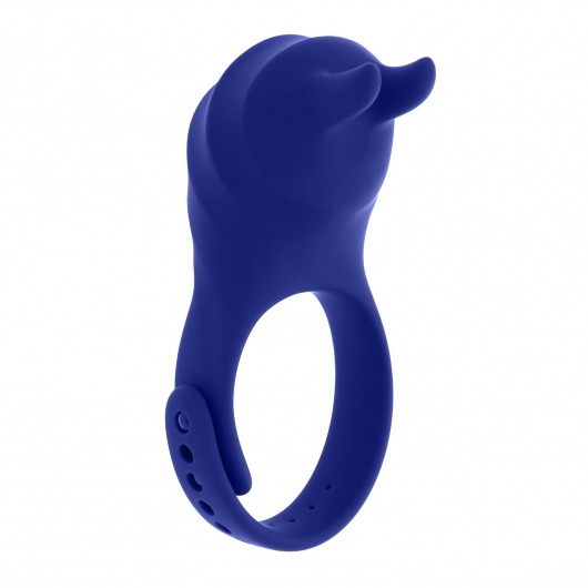 Синее эрекционное виброкольцо с клиторальной подушечкой и пультом ДУ Adjustable Fun Ring - Zero Tolerance - в Северске купить с доставкой