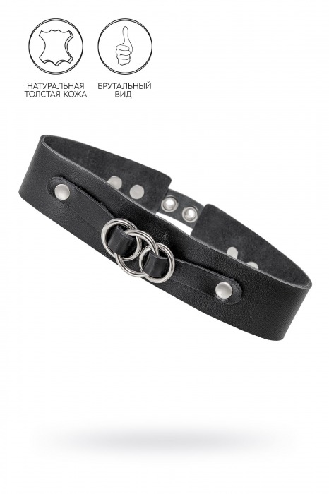 Черный чокер-ошейник со связанными кольцами на подложке - Pecado - купить с доставкой в Северске