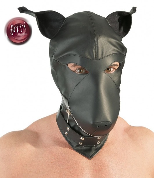 Шлем-маска Dog Mask в виде морды собаки - Orion - купить с доставкой в Северске