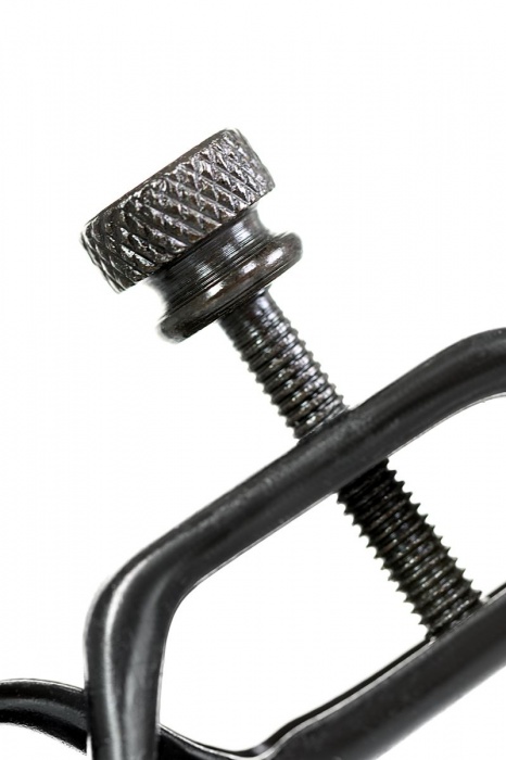 Черно-золотистые зажимы для сосков TOYFA Theatre - ToyFa - купить с доставкой в Северске