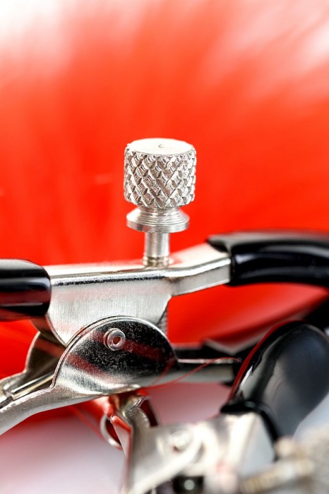 Зажимы для сосков с красным пухом Theatre - ToyFa - купить с доставкой в Северске